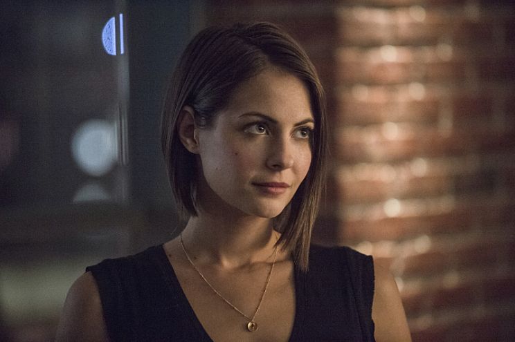 Willa Holland