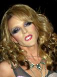 Willam Belli