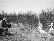 William Finley photo