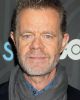 William H. Macy