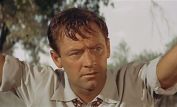 William Holden