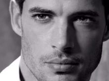 William Levy