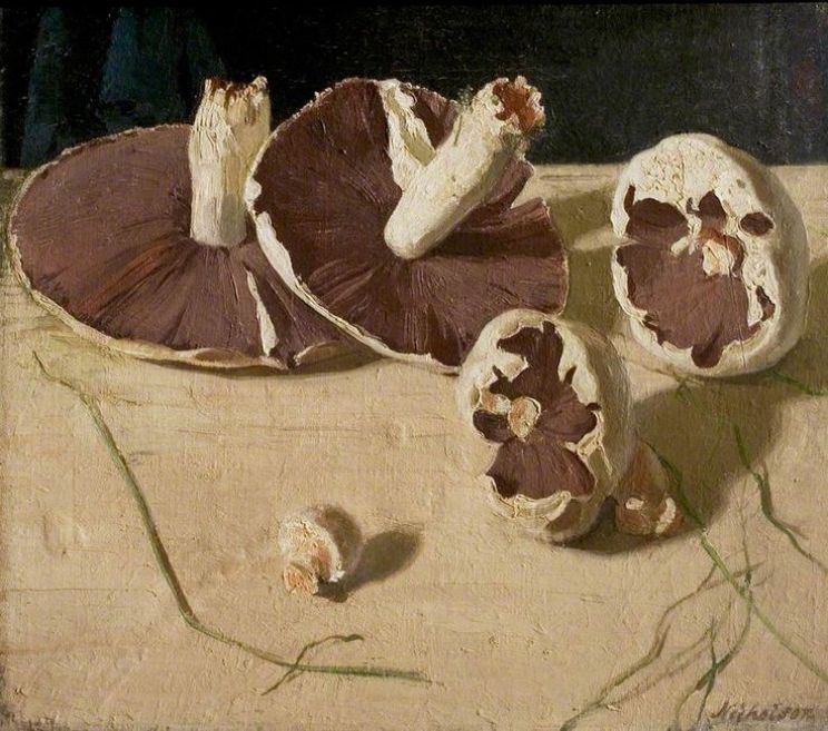 William Nicholson