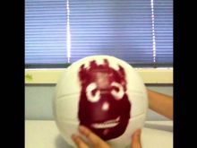 Wilson the Volleyball