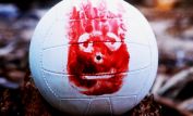 Wilson the Volleyball