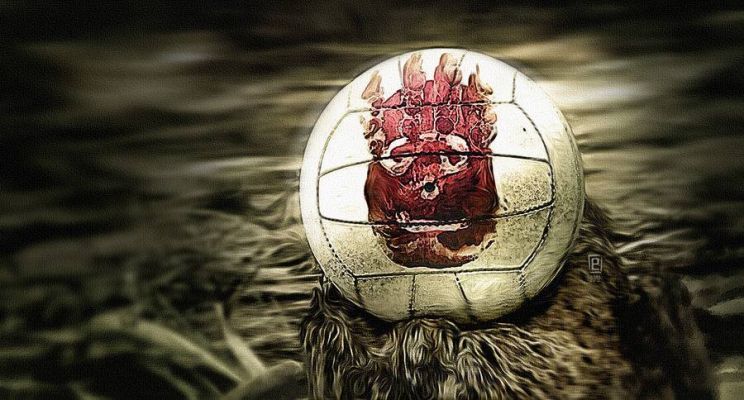 Wilson the Volleyball