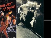 Wings Hauser photo