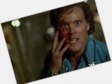 Wings Hauser