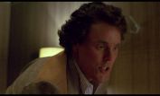 Wings Hauser