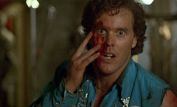 Wings Hauser