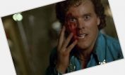 Wings Hauser