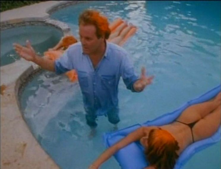 Wings Hauser