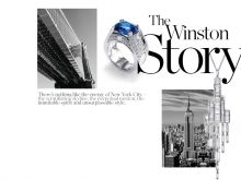 Winston Story