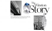 Winston Story