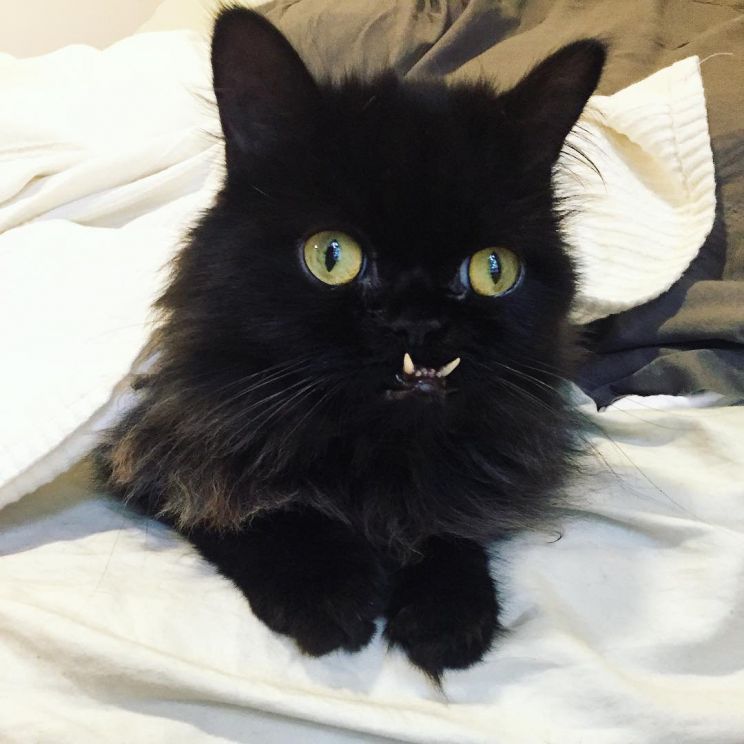 Winter Jones