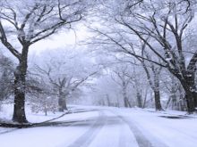 Winter