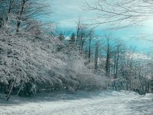 Winter