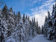 Winter