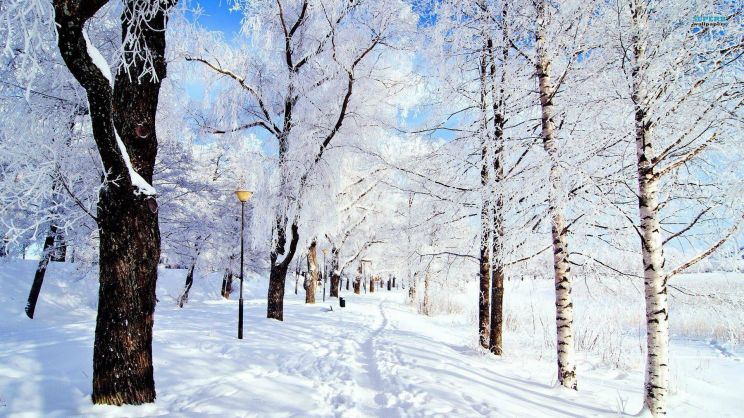 Winter