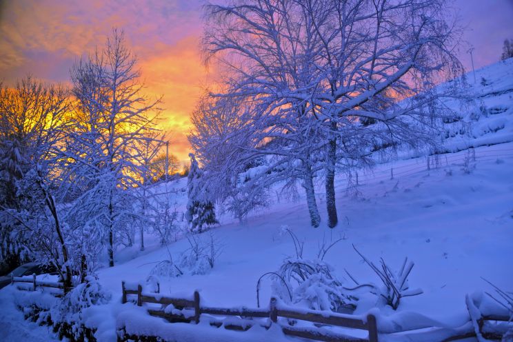 Winter
