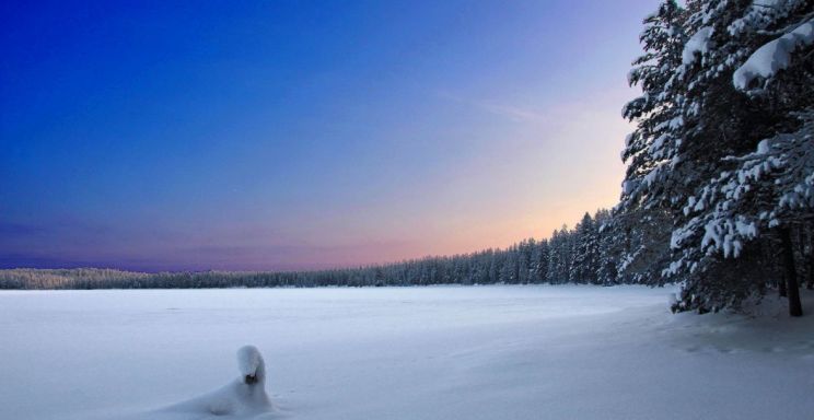 Winter