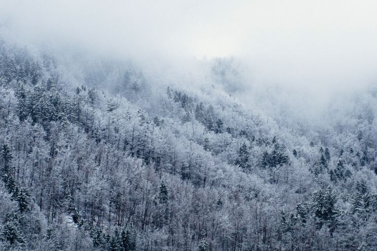 Winter