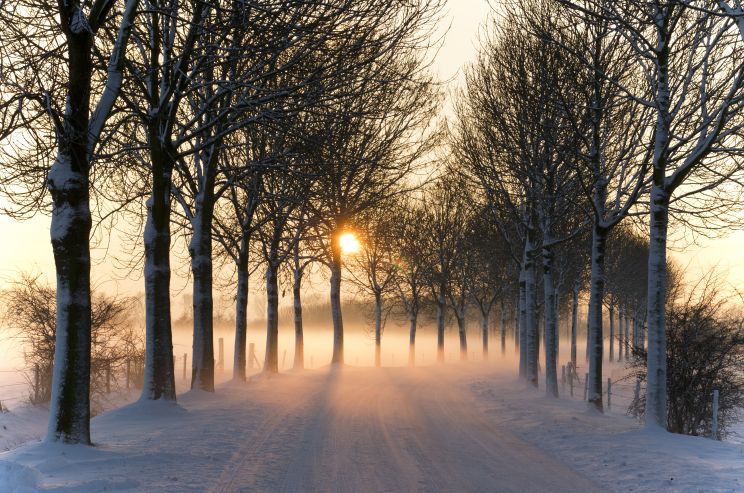 Winter