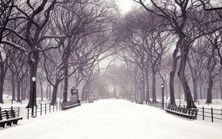 Winter