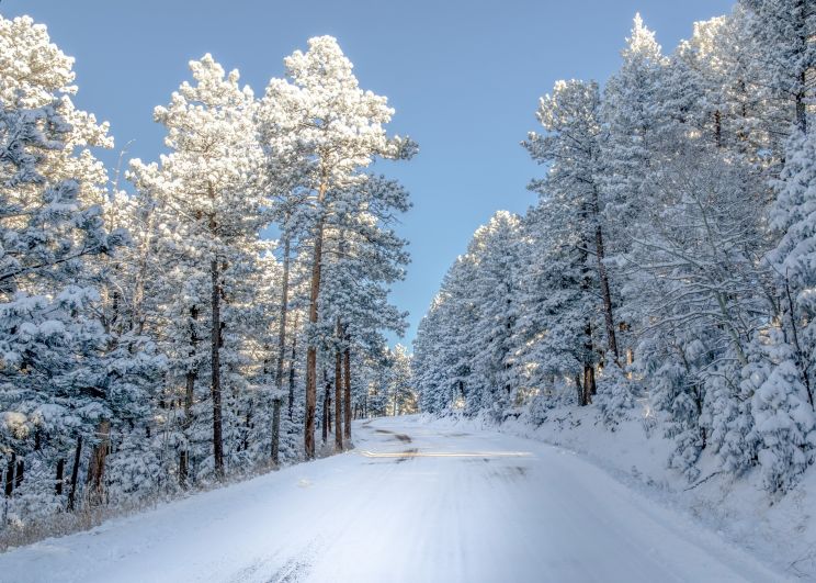 Winter