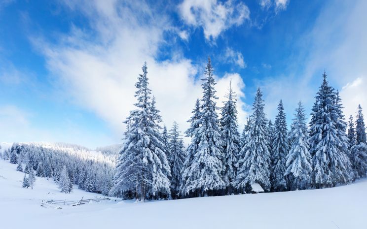Winter