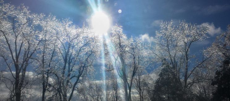 Winter