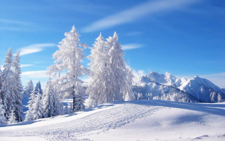 Winter
