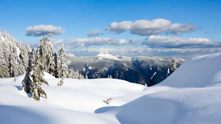 Winter