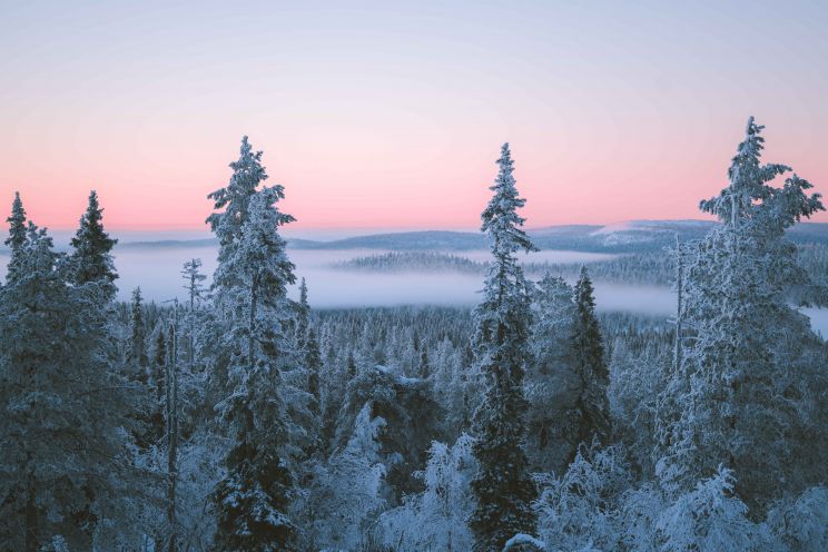 Winter