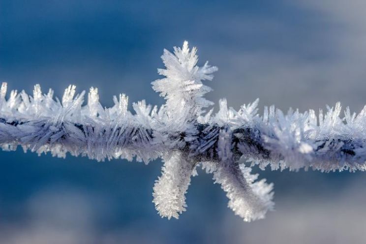 Winter