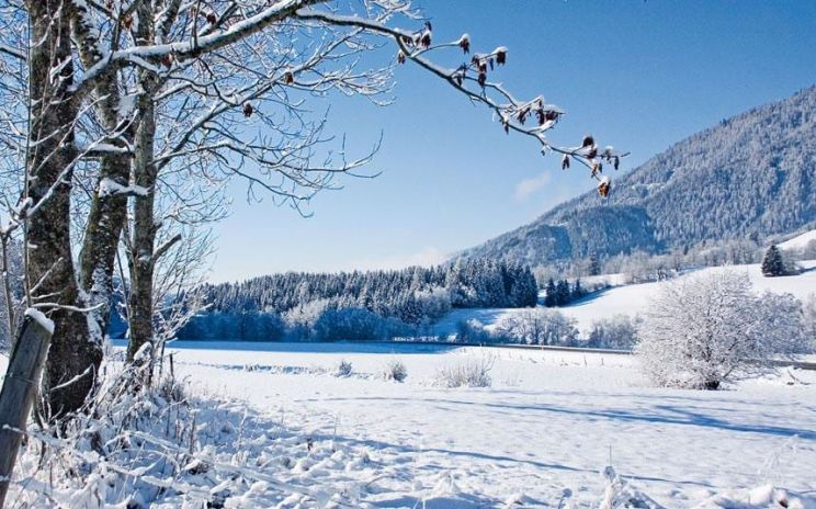 Winter