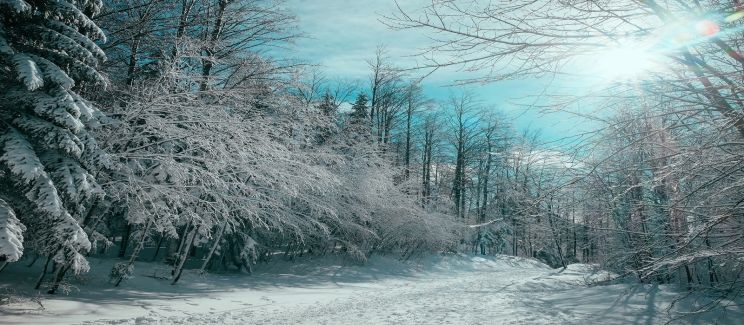 Winter