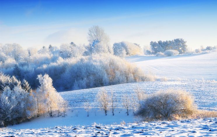 Winter