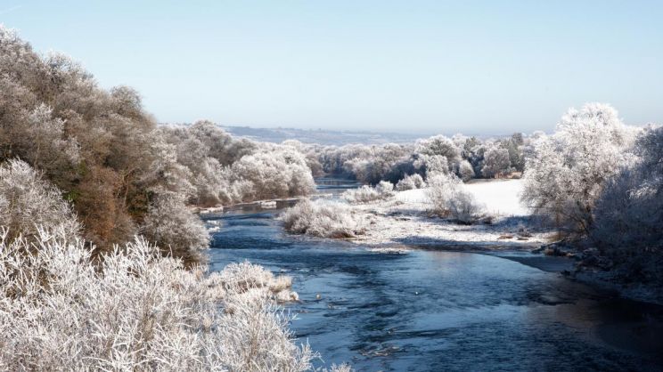 Winter
