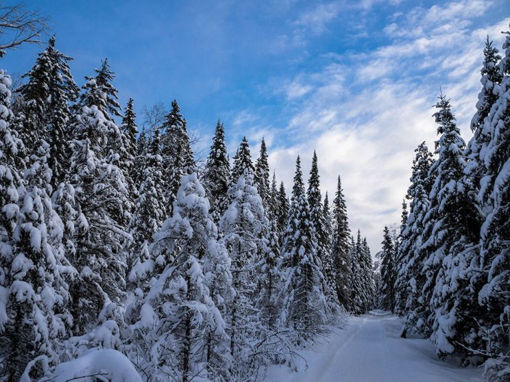 Winter