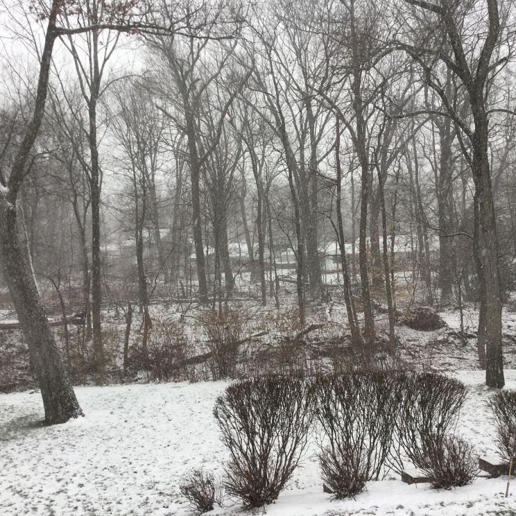 Winter