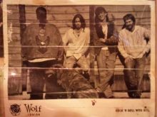 Wolf Larson