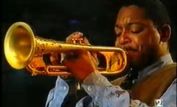 Wynton Marsalis