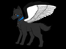 Xavier Wolf