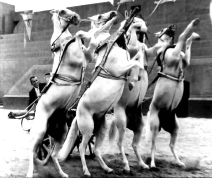 Yakima Canutt