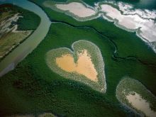 Yann Arthus-Bertrand