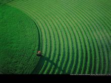 Yann Arthus-Bertrand