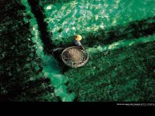 Yann Arthus-Bertrand