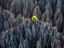 Yann Arthus-Bertrand