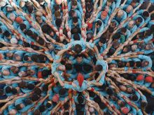 Yann Arthus-Bertrand